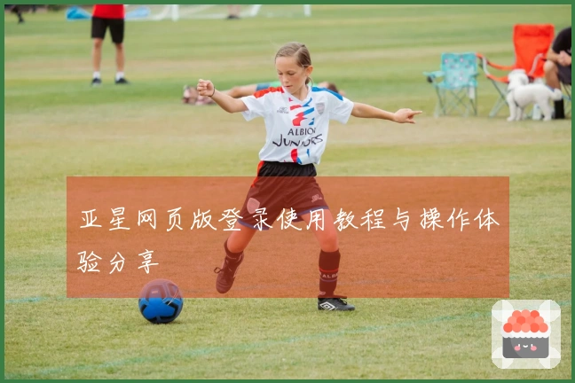 亚星网页版登录使用教程与操作体验分享