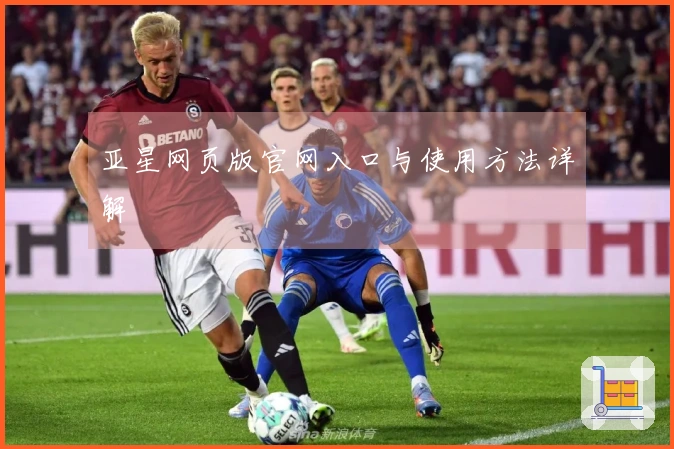 亚星网页版官网入口与使用方法详解