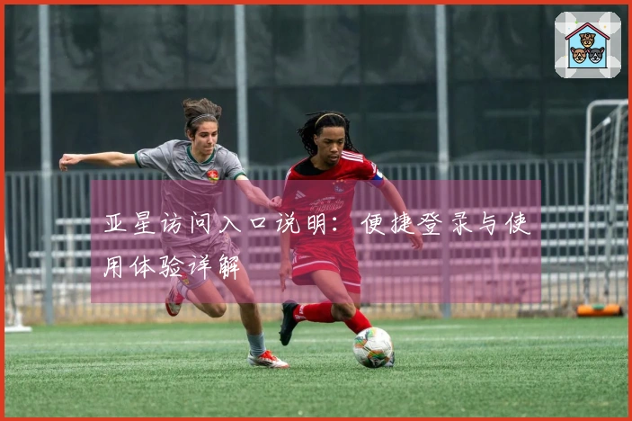 亚星访问入口说明：便捷登录与使用体验详解