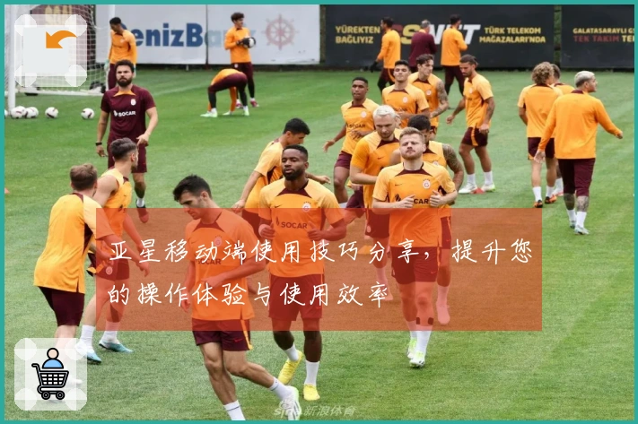 亚星移动端使用技巧分享，提升您的操作体验与使用效率