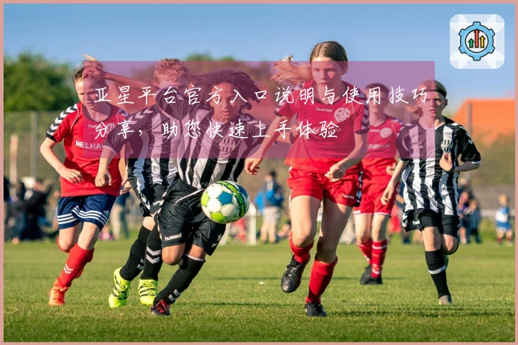 亚星平台官方入口说明与使用技巧分享，助您快速上手体验